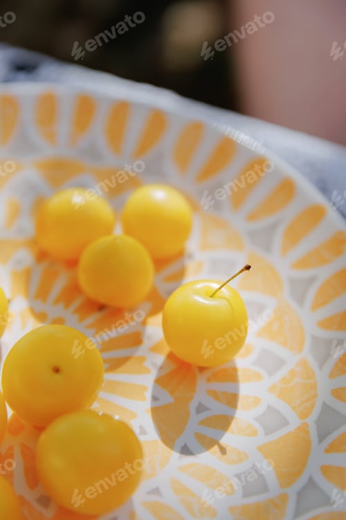 Preview: Single yellow plum with stem on patterned plate in summer sunlight