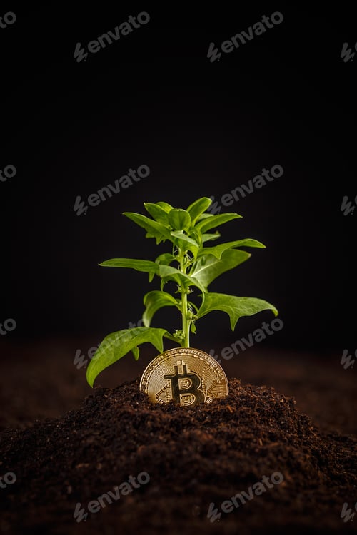 Preview: Digital money growth concept