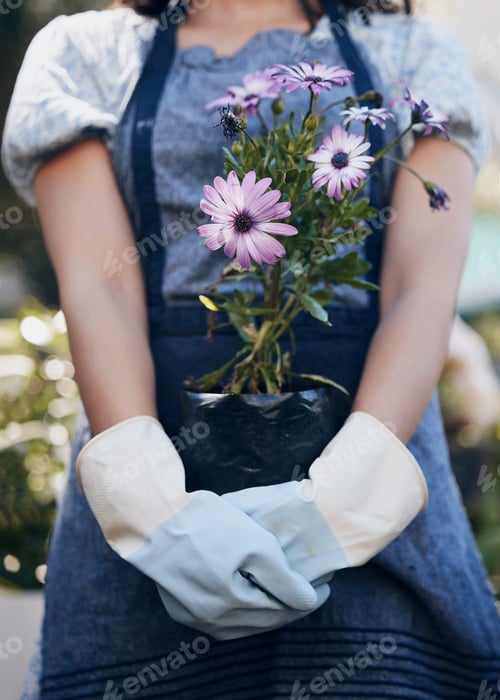 Preview: Purifying the air and giving fresh strength to our people