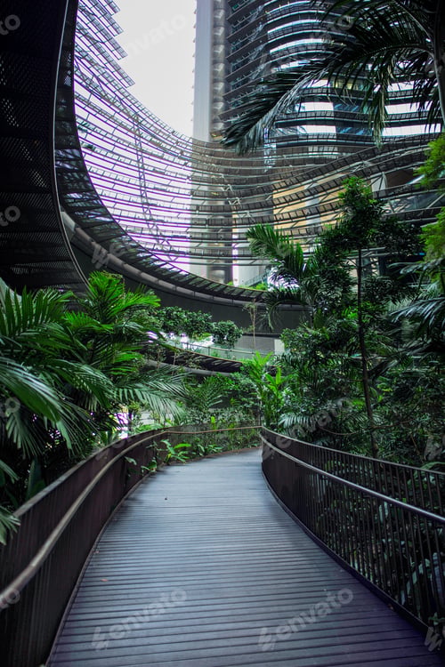 Preview: The corridor for walking inside the modern building with indoor tropical garden
