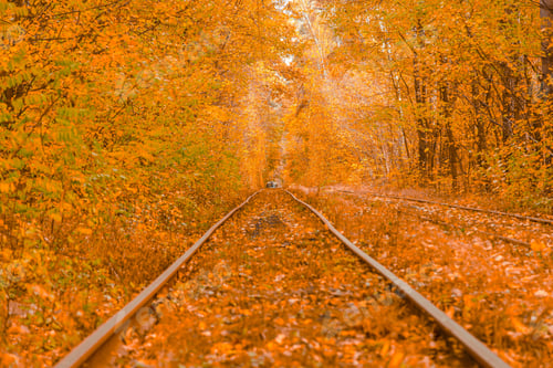 Preview: Autumn forest through which the tram travels, Kyiv and rails