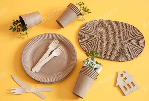 Preview: eco friendly disposable dishes made paper on an orange background.