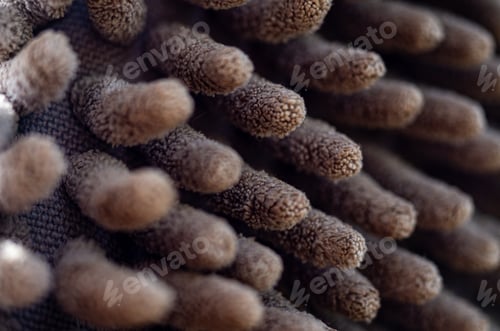 Preview: Close-Up of Carpet Fibers