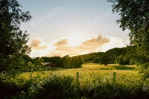 Preview: Idyllic summer farm