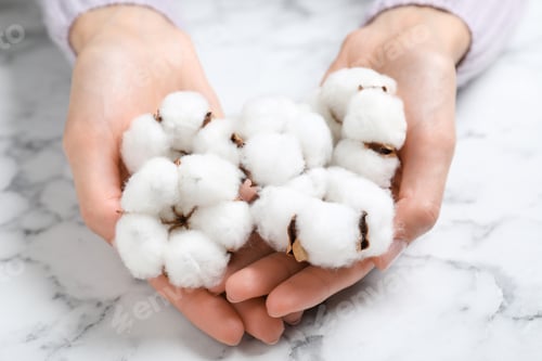 Preview: Young woman with fluffy cotton flowers at marble table, closeup