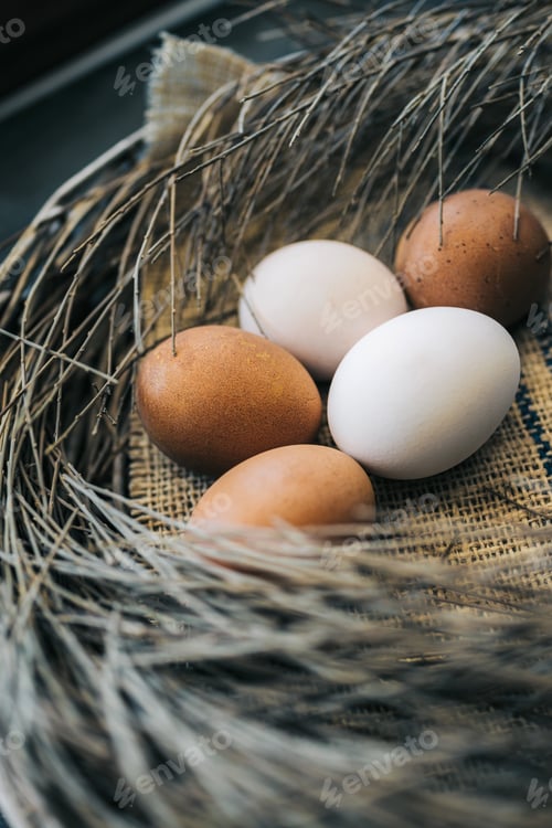 Preview: Eggs in a nest