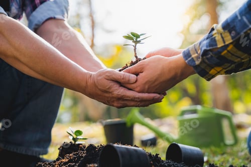 Preview: Two men planting a tree concept of world environment day planting forest, nature, and ecology A youn