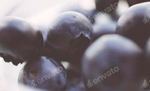 Preview: Blueberry macro close up. Healthy food with viamin C