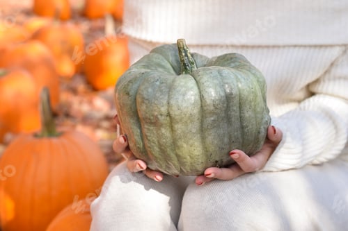 Preview: Woman is holding Jarrahdale green blue pumpkin variety used for cooking or seasonal decorationg