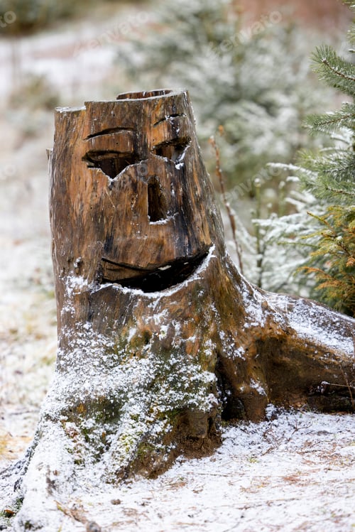 Preview: smiling stump in the winter forest