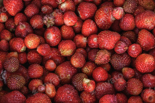 Preview: ripe strawberry background