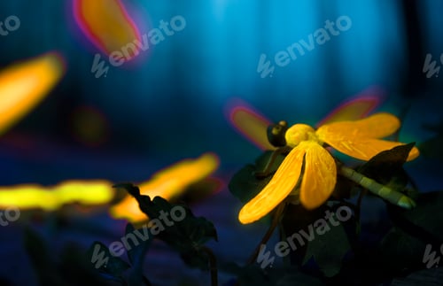 Preview: Glowing insects in the night forest