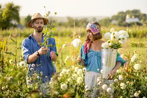 Preview: Man and woman pick up flowers at farm outdoors