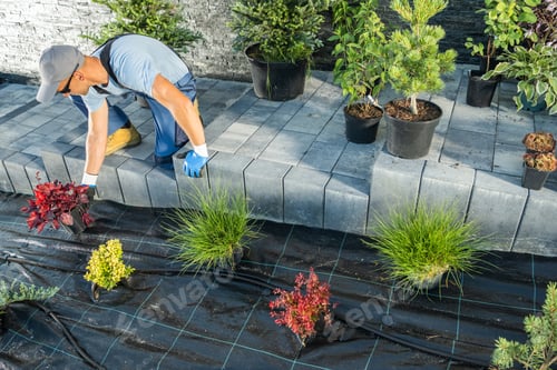 Preview: Professional Landscaper Developing Backyard Garden