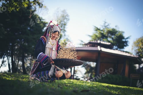 Preview: Akha in the north of Thailand enjoying with job, Akha was separating coffee.