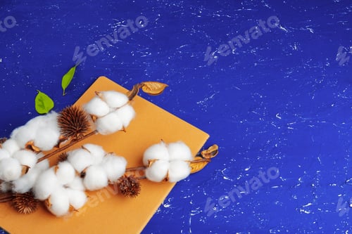 Preview: Flat lay of feminine blue background with branch of artificial cotton flower