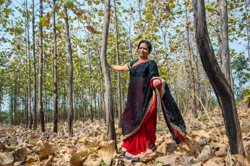 Preview: Happy Indian woman enjoying nature in forest