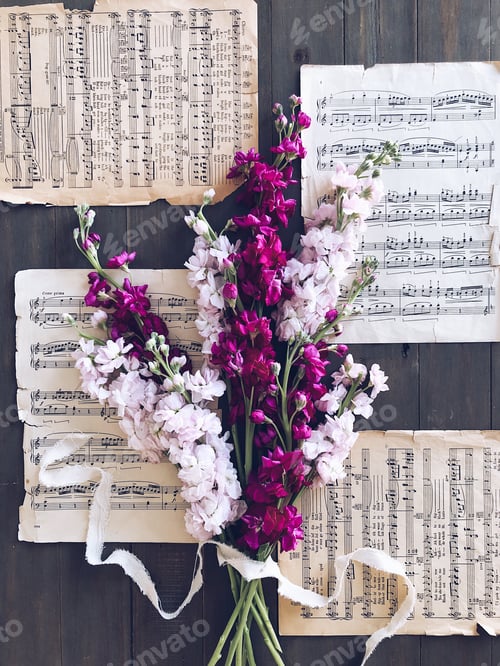 Preview: An overhead shot of bouquet of pink and purple stock flowers on vintage sheet music