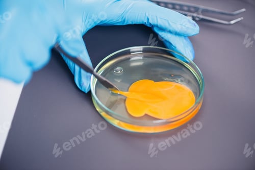 Preview: Food safety
