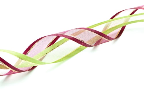 Preview: ribbon isolated
