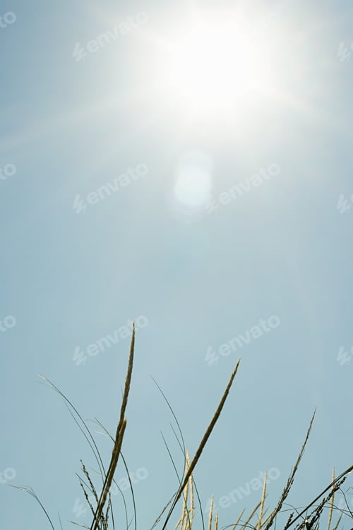 Preview: Bright sunlight over sand dunes