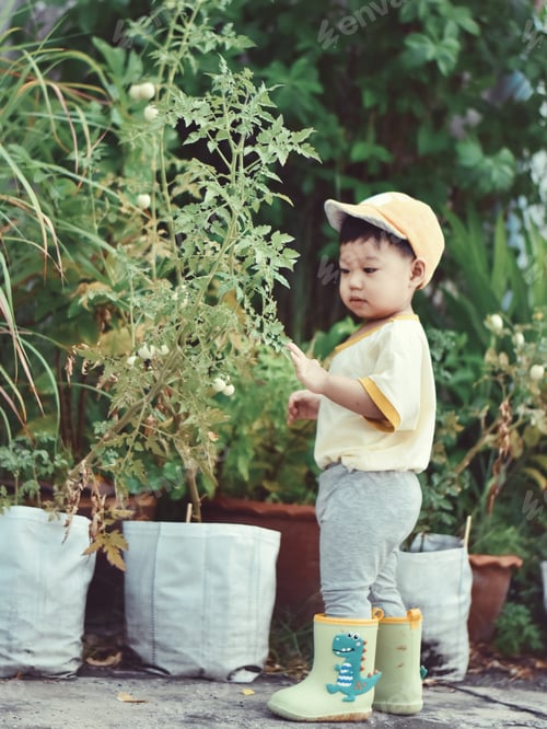 Preview: Tomato picking