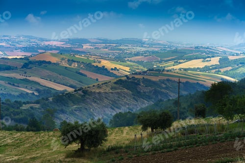 Preview: Country landscape near Monterubbiano, Marche, Italy