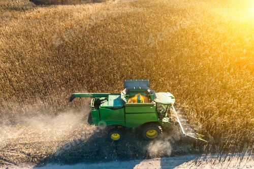 Preview: Aerial view of harvester harvesting corn in the field