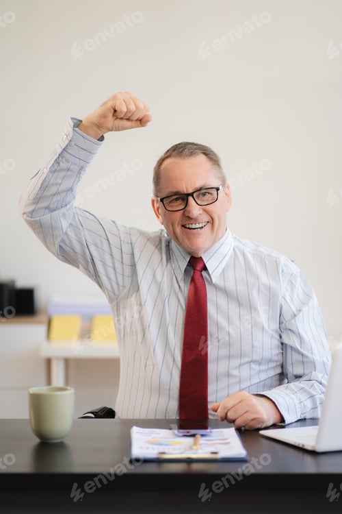 Preview: success man, entrepreneur, small business owner working online.