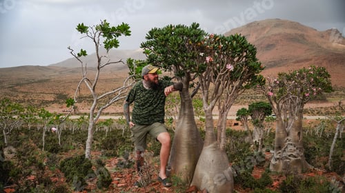 Preview: Exploring the unique landscapes of Socotra with its stunning flora and dramatic mountains