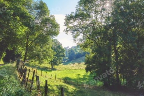 Preview: A series of photos of countryside, farmland and forest close to Lyon, France