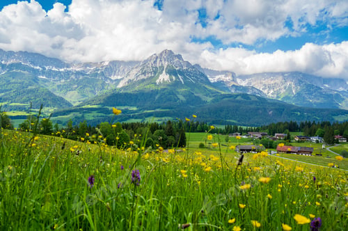 Preview: Scenic view of a vibrant meadow with yellow flowers and a mountain range under a cloudy sky