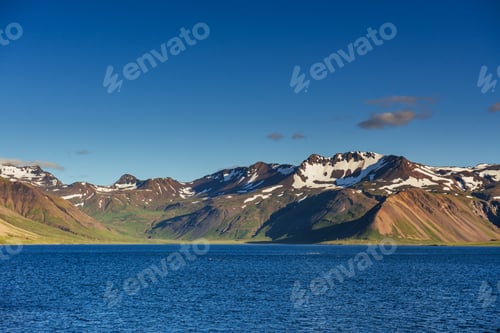 Preview: Mountains and volcanic lava sand dunes by the sea in Stokksness, Iceland. The brown bushes are