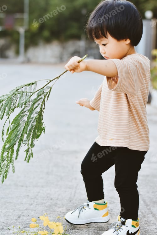 Preview: Cute Boy playing in the park, Sweet Little baby boy enjoying
