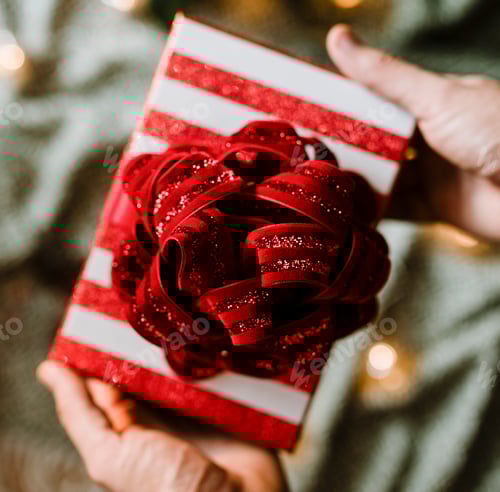 Preview: Hands Holding a Holiday Gift with a Red Bow