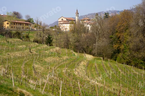 Preview: Landscape in the park of Curone, Lecco province, Italy