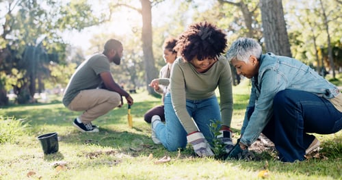 Preview: Planting, support and community people in park, nature and garden for sustainable environment. Coll