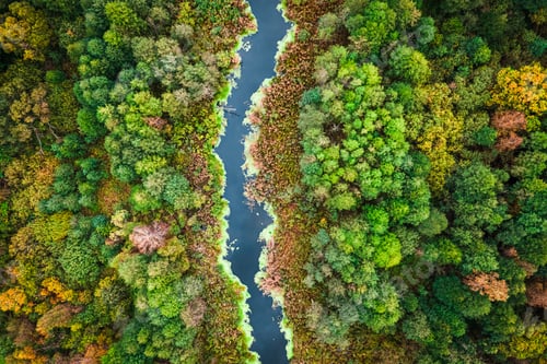 Preview: Swamp and algae in autumn. Aerial view of wildlife, Poland.