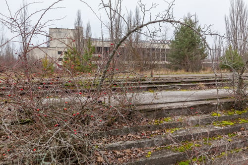 Preview: Central square in overgrown ghost city Pripyat.
