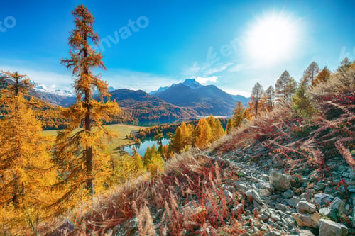 Preview: Fantastic autumn panorama over Sils im Engadin (Segl) village and Sils lake(Silsersee)
