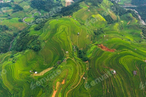 Preview: Paddy rice terraces, green agricultural fields in countryside of mountain hills valley, Vietnam.