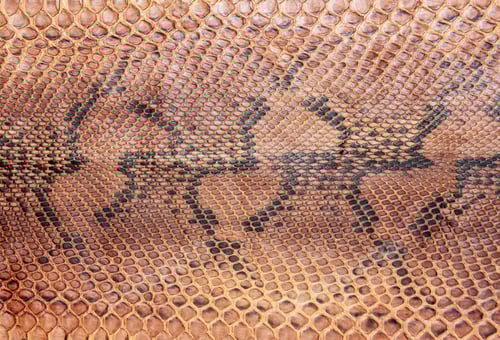 Preview: Snake skin pattern