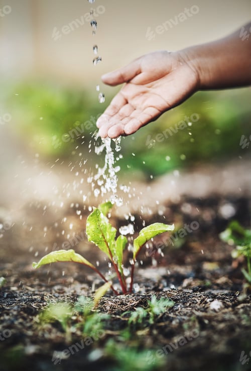 Preview: Itll grow with care. Closeup shot of an unrecognizable person watering a plant outdoors.
