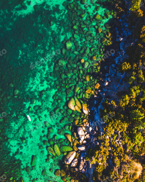 Preview: Vertical shot of Lake Tahoe stand up paddleboard