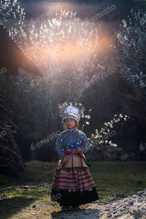 Preview: Muong ethnic children play under plum trees with white flowers