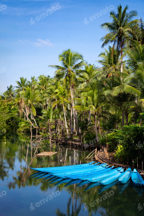 Preview: Scenic view of boats moored at Maasin Bridge, Siargao Island, Philippines