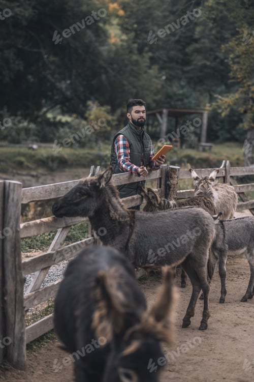 Preview: Farmer with a tablet in hands