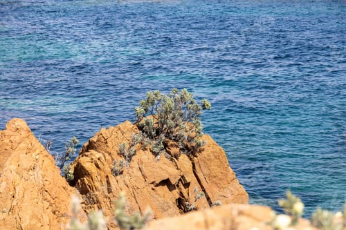 Preview: Steep coast on Cote d'Azur, French Riviera, overlooking the Mediterranean Sea on a rock