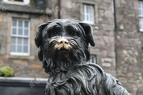 Preview: Statue of Greyfriars Bobby with a bronzed nose in Edinburgh, Scotland