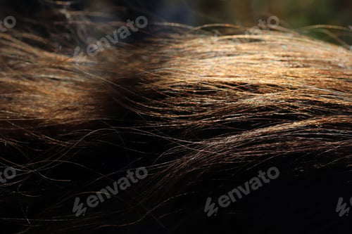 Visualização: hair strands shining in the sunlight